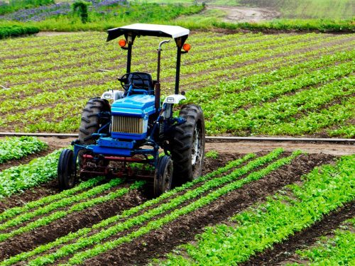 Blue tractor working on a crop field, showcasing machinery that relies on agricultural bearings for smooth operation.